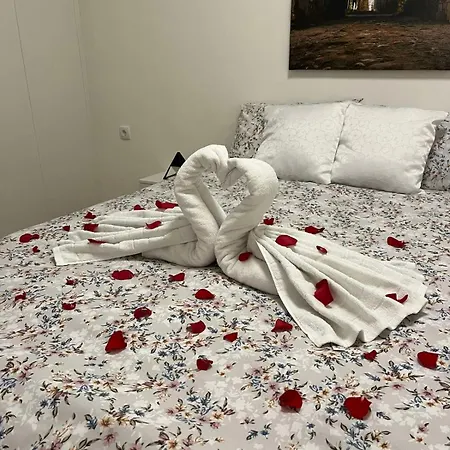 Stan Na Dan Laktasi Andrea *